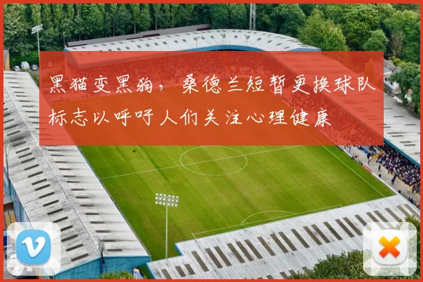 黑猫变黑狗，桑德兰短暂更换球队标志以呼吁人们关注心理健康
