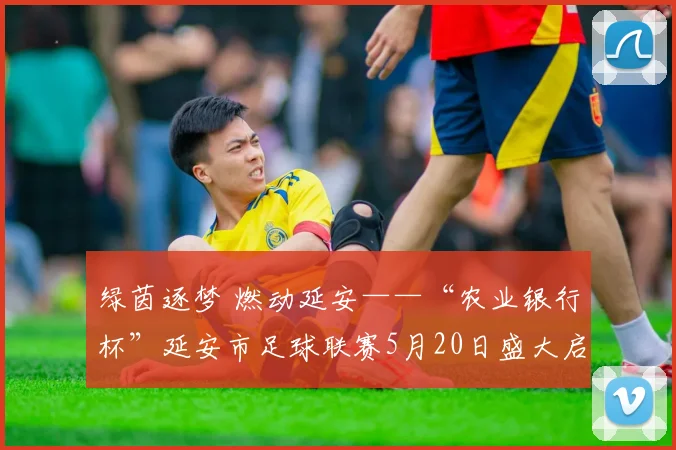 绿茵逐梦 燃动延安——“农业银行杯”延安市足球联赛5月20日盛大启幕_网易订阅